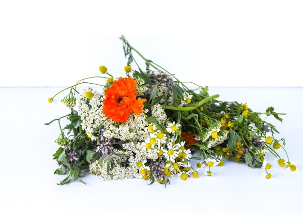 Medicinal herbs Calendula and yarrow flowers