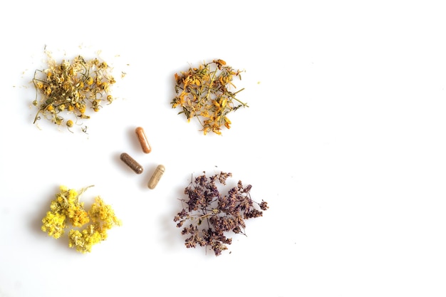 Medicinal herbs and capsules on white