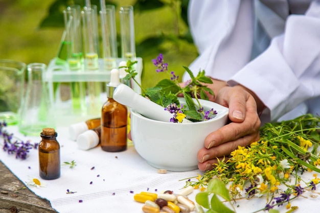 Medicinal herbs homeopathy and alternative medicine Selective focus