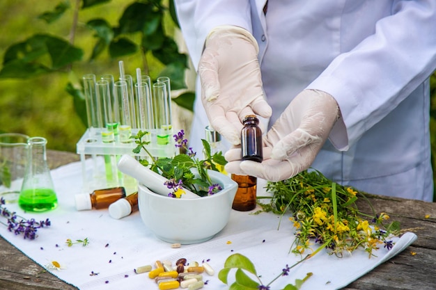 Medicinal herbs homeopathy and alternative medicine Selective focus