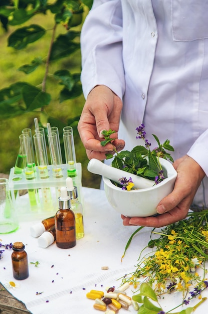 Medicinal herbs homeopathy and alternative medicine Selective focus