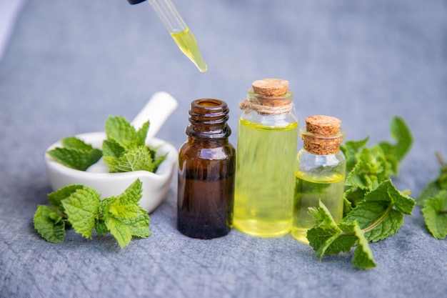 Erbe medicinali menta messa a fuoco selettiva