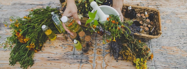 Medicinal herbs and natural tinctures Selective focus