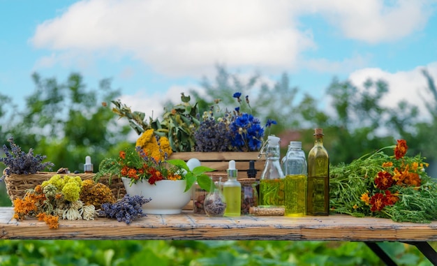 Medicinal herbs and natural tinctures Selective focus