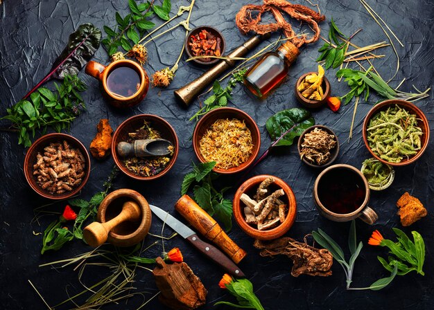 Medicinal herbs, plants and roots in alternative medicine.Herbal medicine