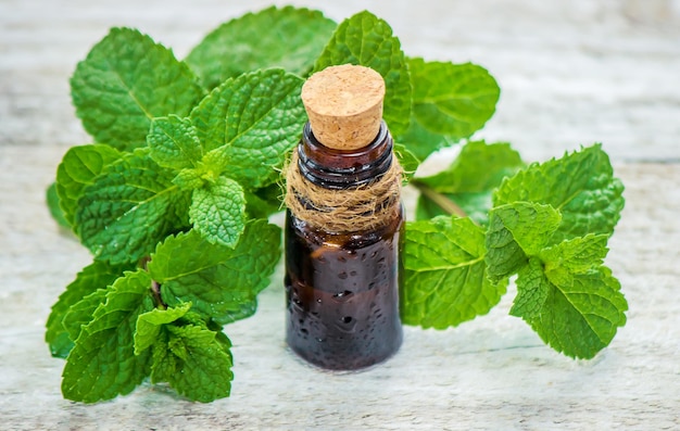 Medicinal herbs. Selective focus. medicine and health. nature.