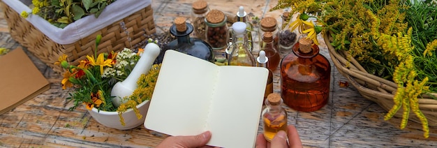 Medicinal herbs on the table Place for notepad text woman Selective focus