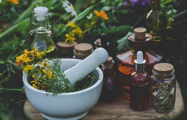 Medicinal herbs and tinctures alternative medicine Selective focus