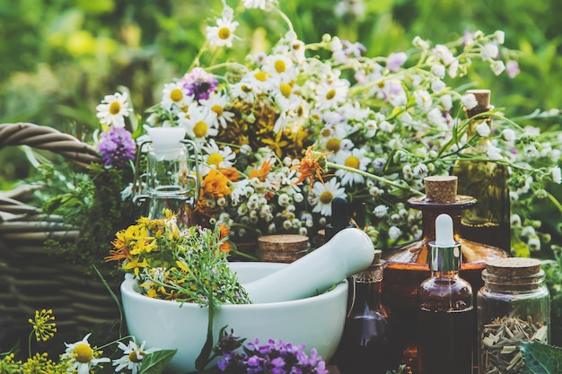 Medicinal herbs and tinctures alternative medicine Selective focus