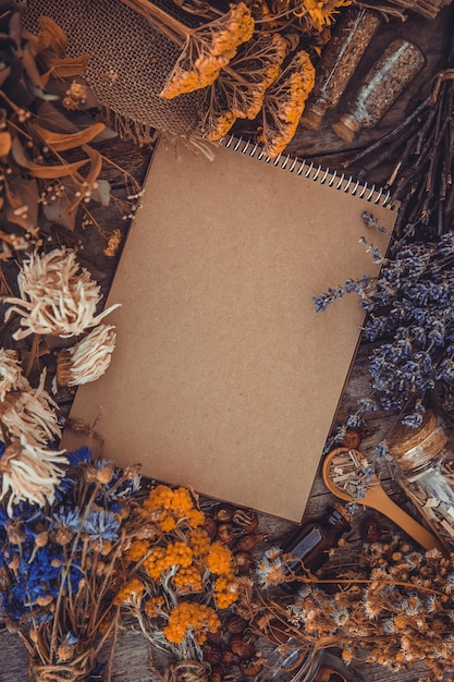 Medicinal herbs and tinctures homeopathy Selective focus