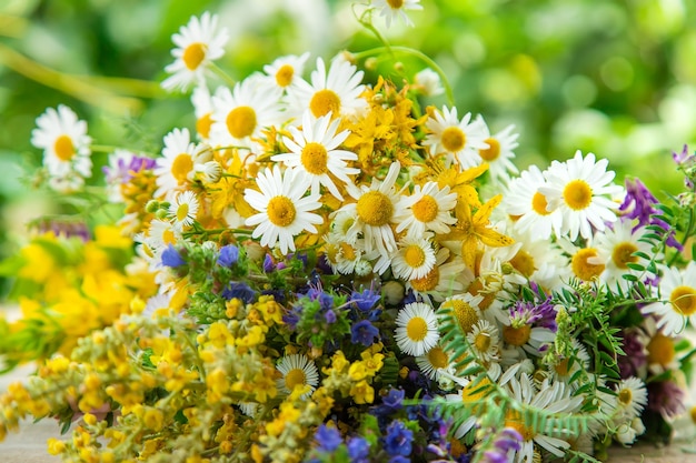 medicinal herbs with blurred vegetation background