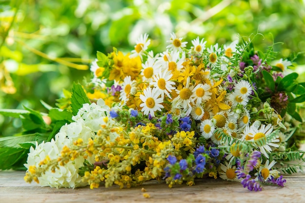 Erbe medicinali su un tavolo di legno con sfondo di vegetazione sfocata