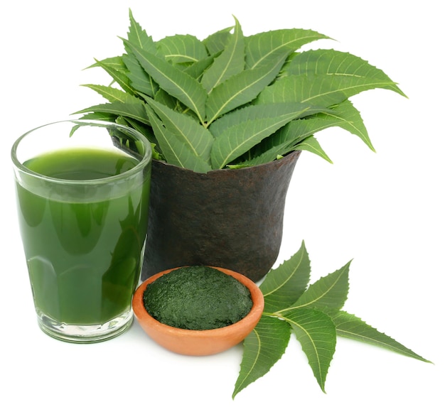 Medicinal neem leaves with extract and ground paste over white background