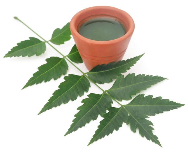 Medicinal neem leaves with extract