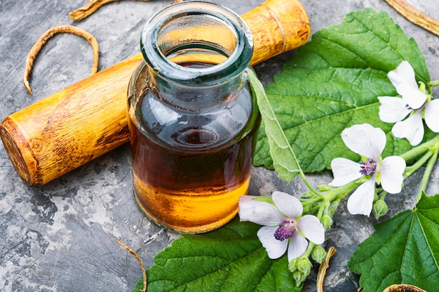 Medicinal plant althaea