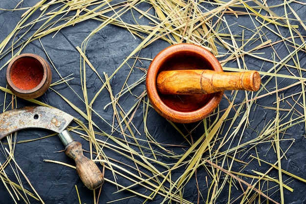 Medicinal use of the herb sweet grass in herbal medicine.