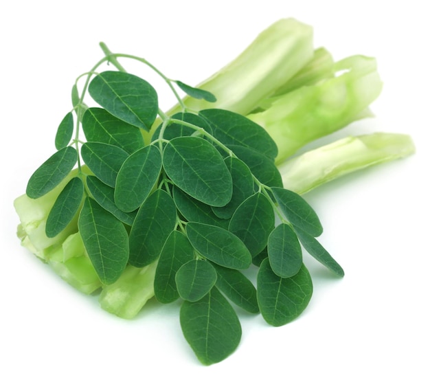 Medicinale moringa met groene bladeren op witte achtergrond