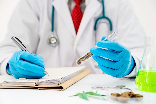 Photo medicine doctor hand hold and offer to patient medical marijuana in jar