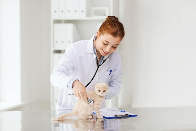 medicine, pet, animals, health care and people concept - happy veterinarian doctor with stethoscope checking scottish fold kitten up at vet clinic