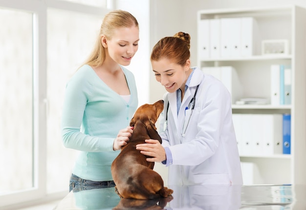 medicine, pet care and people concept - happy woman with dachshund dog and veterinarian doctor at vet clinic
