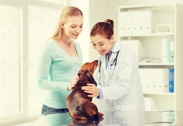 medicine, pet care and people concept - happy woman with dachshund dog and veterinarian doctor at vet clinic