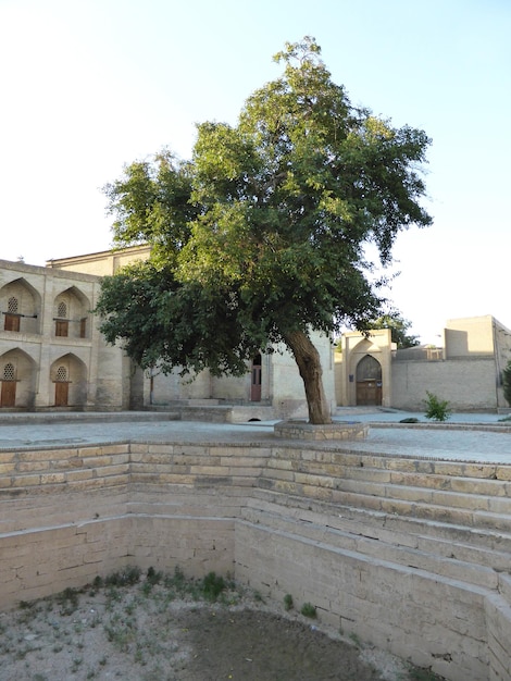 Medieval architecture in the city of Bukhara