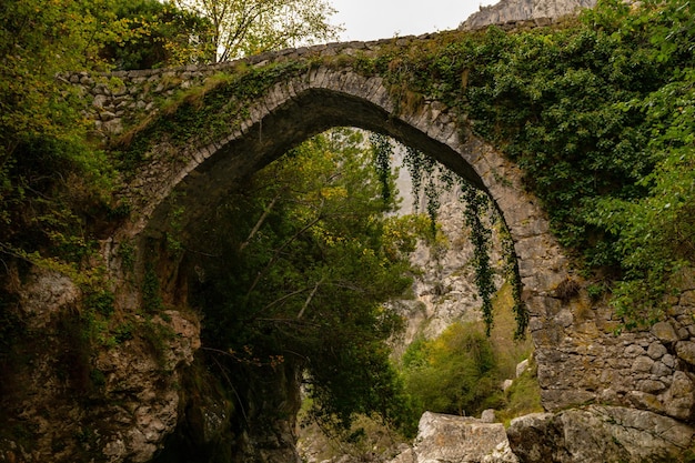 Medieval bridge of La Java in Asturias 