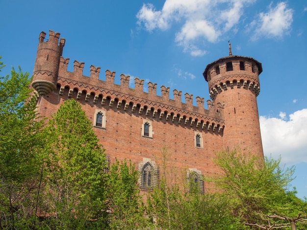 Medieval Castle Turin