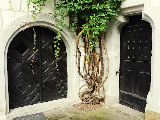 Photo medieval doors of castle