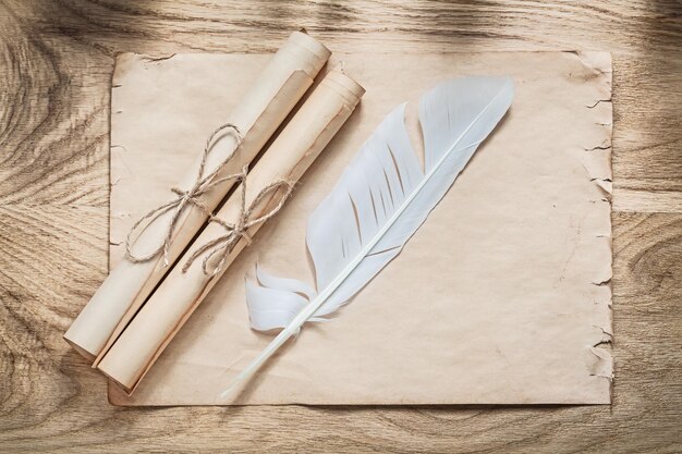 Medieval parchment paper scrolls feather on wooden board.