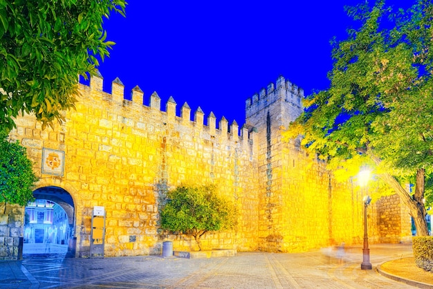 Medieval residence of Spanish kings- Royal Alcazar of Seville. S