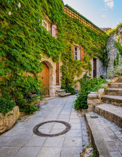 Medieval stone house and vine in the village of Les Matelles in the south of France (Herault)