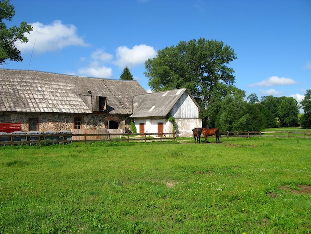 Medieval Turaida castle in Latvia country