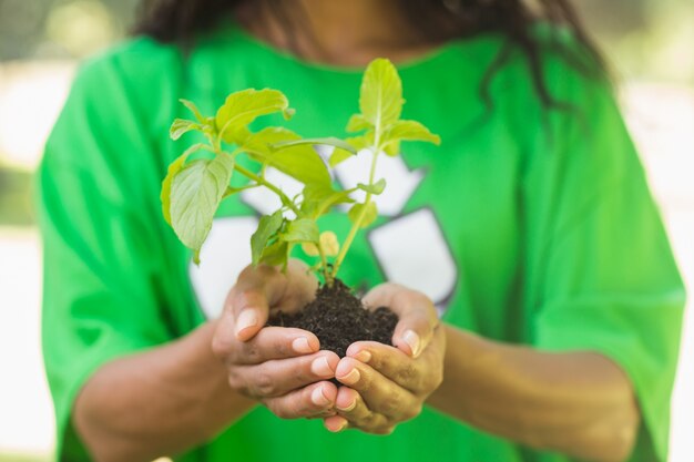 Foto medio sectie van vrouw in groene recyclingst-shirt die jonge plant houden