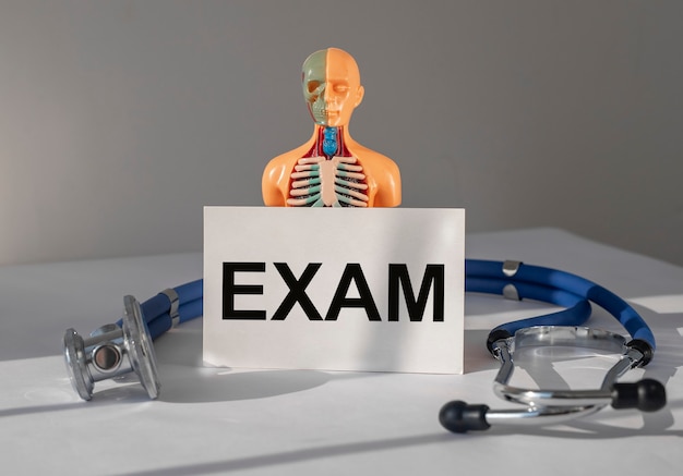 Medisch examen concept inwendige organen onderzoek en checkup