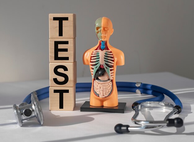 Medisch testconcept inwendige organen onderzoek