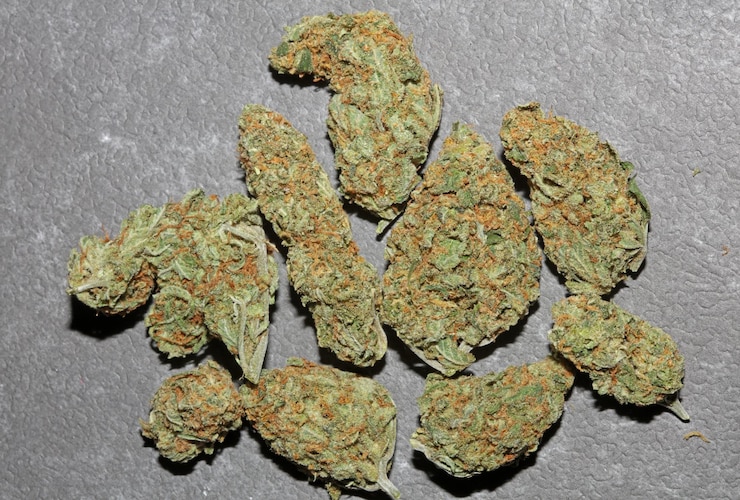 Foto medische marihuana knoppen dicht op de achtergrond cannabis sativa super citroen haze groot formaat hoge kwaliteit