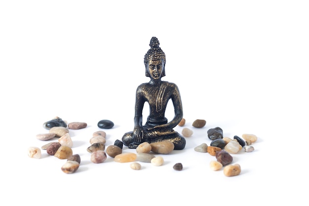 Meditating Buddha statue isolated zen garden