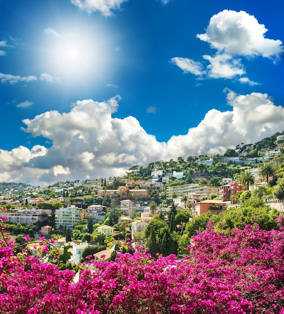 Mediterraan landschap met azalea bloemen