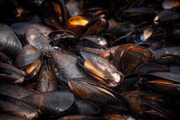 Mediterranean black mussels being steamed or boiled in pan used as food as source of protein