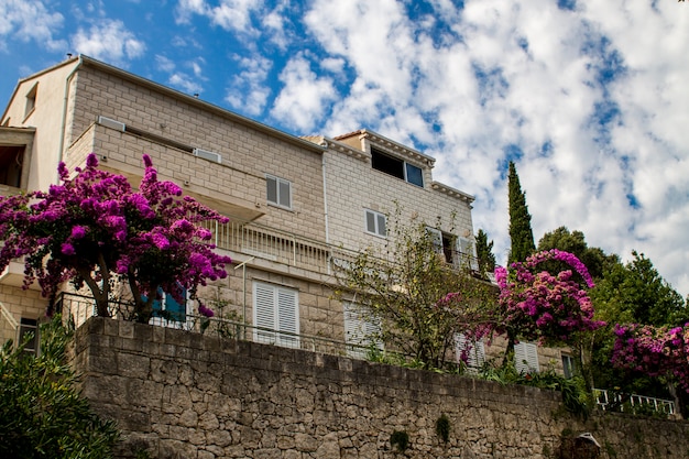 Mediterranean house