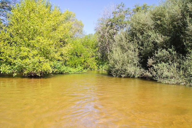 mediterranean river, alberche riverbank in Toledo, Castilla La Mancha, Spain