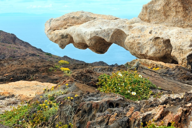 Foto costa rocciosa mediterranea estate vista da creus cape (cap de creus), costa brava catalogna, spagna.