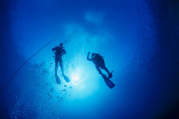 Mediterranean Sea, U.W, photo, scuba divers close to the surface - FILM SCAN