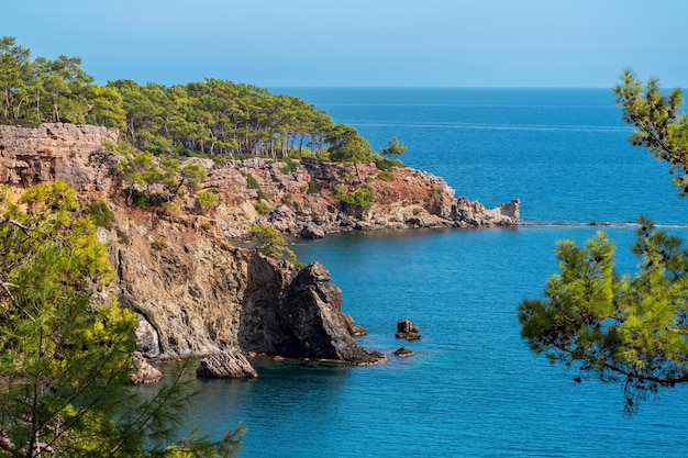 Средиземноморский морской пейзаж с лесистыми прибрежными скалами