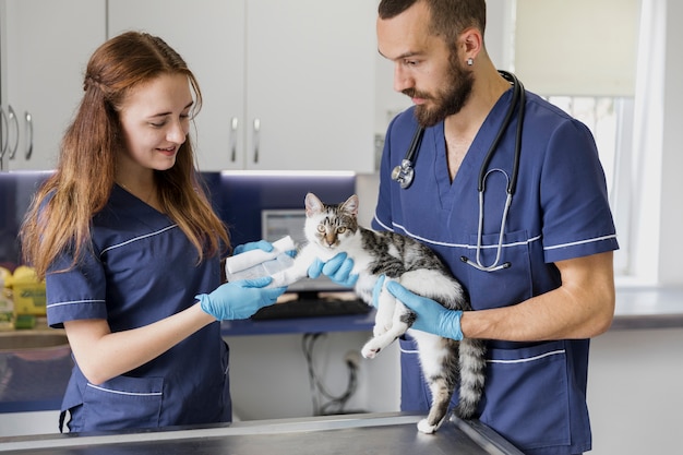 Foto medici del colpo medio che bendano gatto