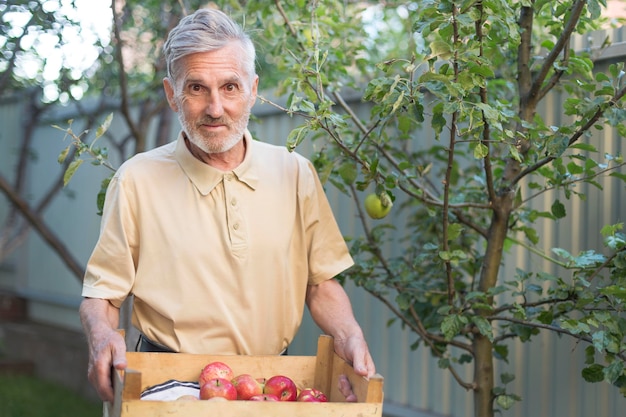 Photo medium shot man holding box of apples