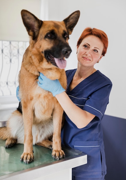 Medium shot schattige hond bij veterinaire kliniek