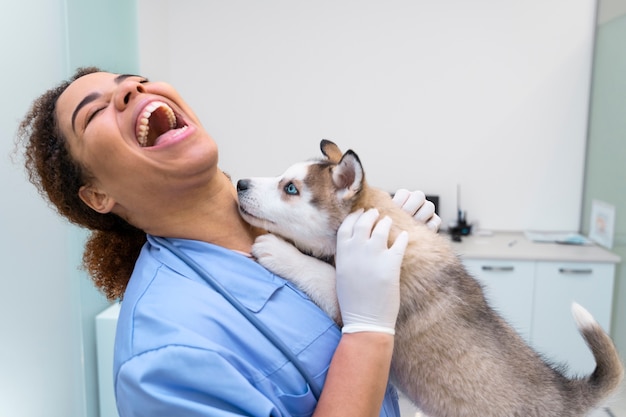 Foto medico sorridente e husky di tiro medio