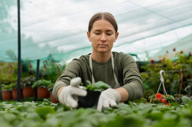 植物の世話をするミディアムショットの女性